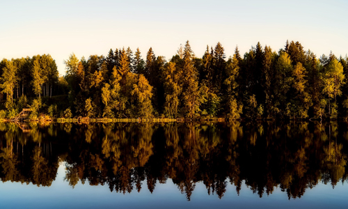 Sälja skogsfastighet, Köpa skogsfastighet, Lycksele, Storuman, Vilhelmina, Åsele, Dorotea, Sorsele, Västerbotten